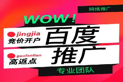 百度广告竞价之成功案例：某行业领军企业的崛起之路